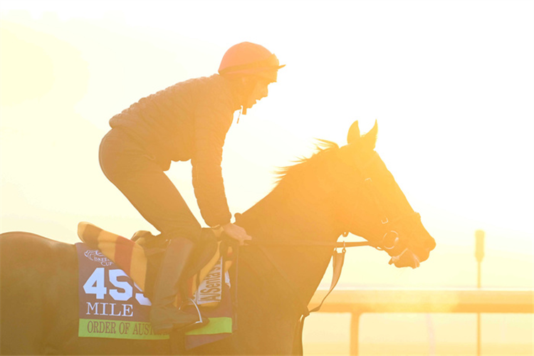 Order Of Australia and Stevie Ryder pictured at morning workout ahead of The Breeders Cup.