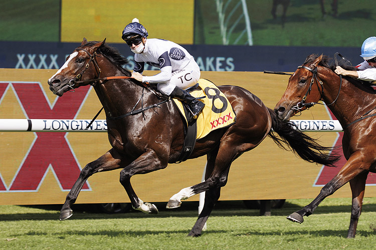 OVERPASS winning the XXXX Expressway Stakes
