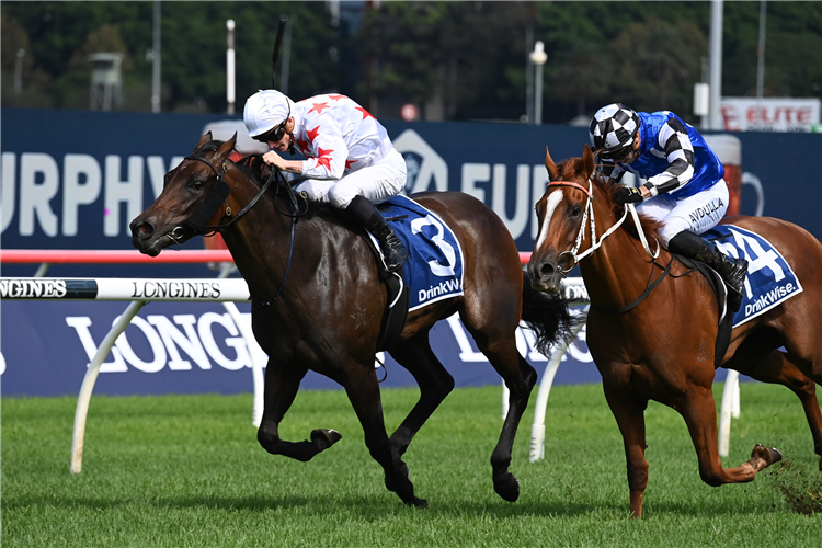 PARIS DIOR winning the Furphy Percy Sykes Stakes at Randwick in Australia.