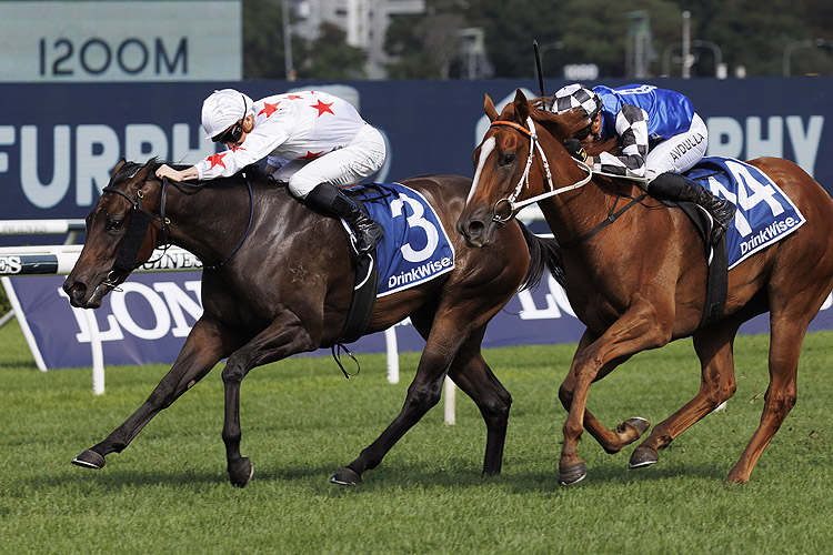 PARIS DIOR winning the Furphy Percy Sykes Stakes.