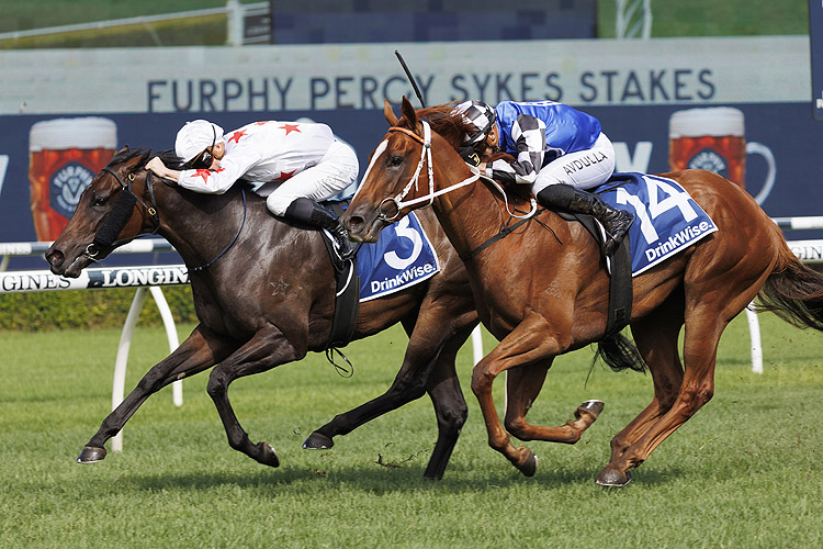 PARIS DIOR winning the Furphy Percy Sykes Stakes