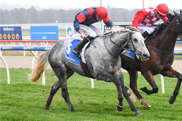 PARISIAN DANCER winning the Brandt BM64 Handicap at Sportsbet-Ballarat in Ballarat, Australia.