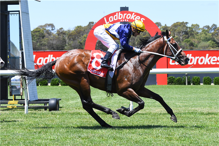PASCERO winning the Easy Form Mdn Plate at Sandown in Australia.