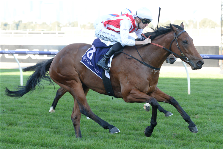 PASSIVE AGGRESSIVE winning the A.R. Creswick Stakes at Flemington in Australia.