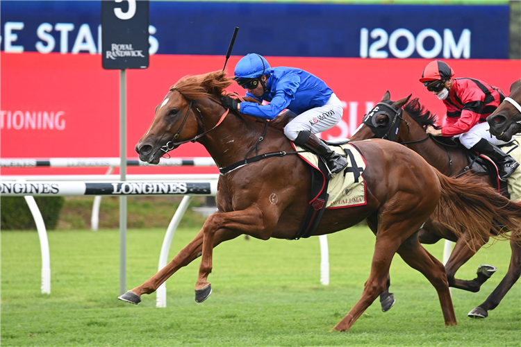 PAULELE winning the Petaluma Eskimo Prince Stks at Randwick in Australia.