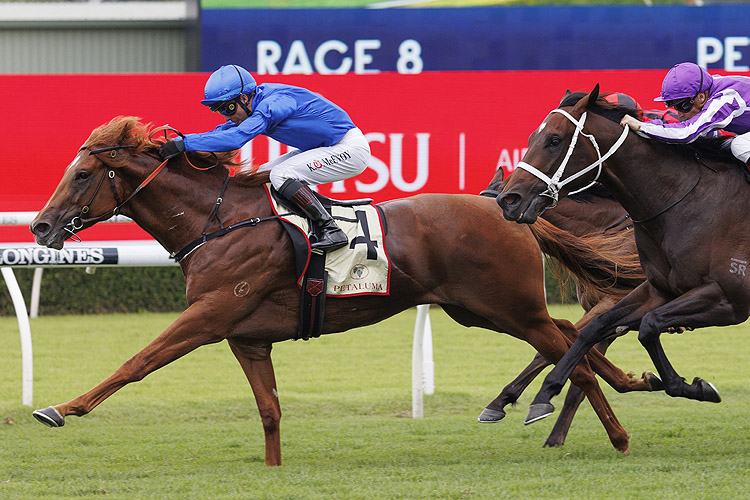 PAULELE winning the Petaluma Eskimo Prince Stks