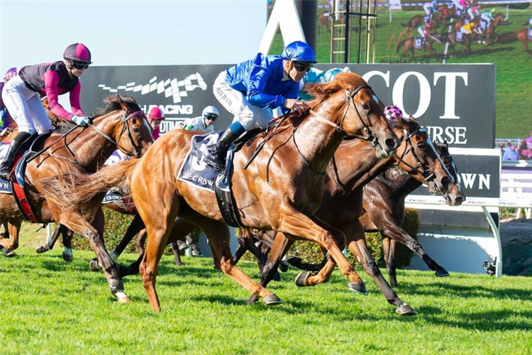 PAULELE winning last year's Crown Perth-Winterbottom Stakes