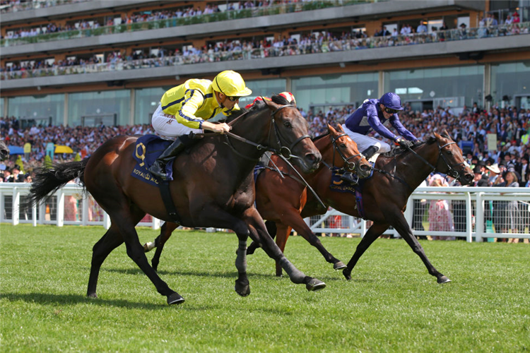 PERFECT POWER winning the Commonwealth Cup at Royal Ascot in England.