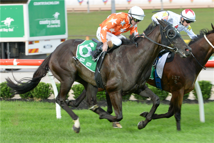 PHERE THE EX winning the Browns Sawdust & Shavings Maiden Plate in Cranbourne, Australia.