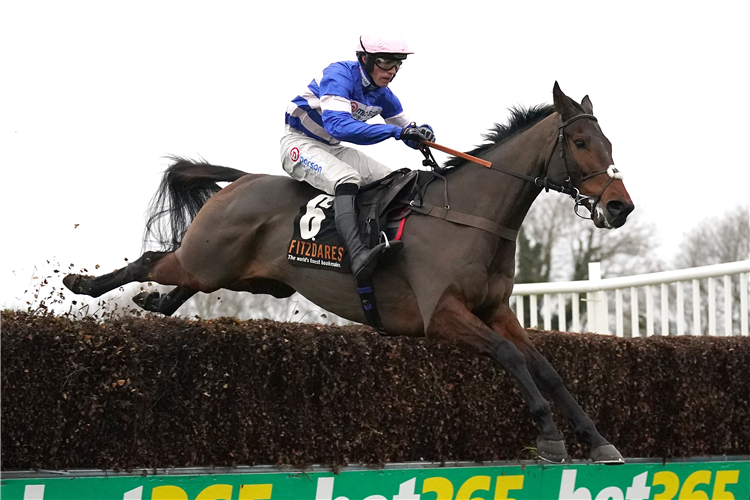 PIC D'ORHY winning the Fitzdares Peterborough Chase at Huntingdon United Kingdom.