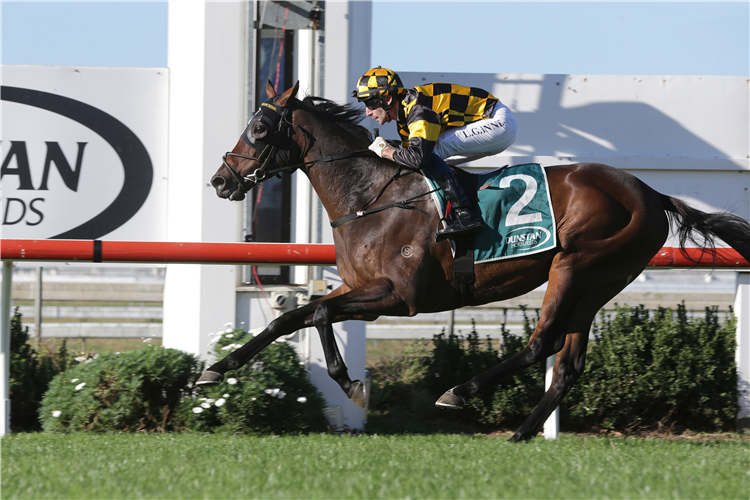 PINARELLO winning the Trelawney Stud C'ship Stakes