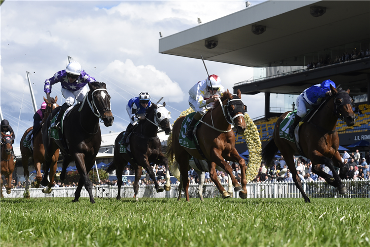 PINK IVORY wins at Rosehill