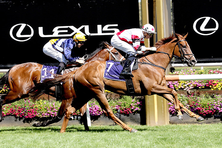 PINSTRIPED winning the C S Hayes Stakes