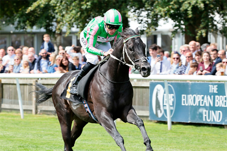 POGO winning the House Of Cavani Menswear Criterion Stakes (Group 3)