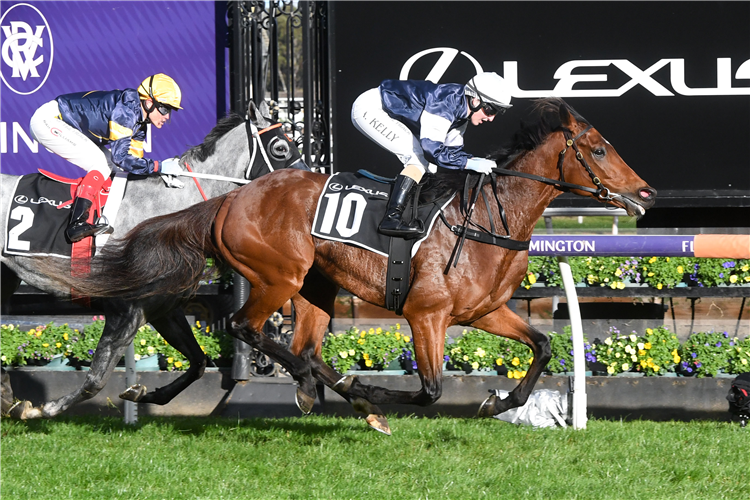 POINT NEPEAN winning the Andrew Ramsden at Flemington in Australia.