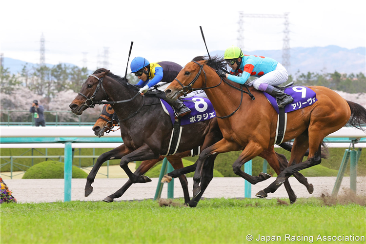 POTAGER winning the Osaka Hai at Hanshin in Japan.