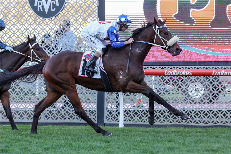POUNDING winning the PFD Food Services Handicap at Moonee Valley in Australia.