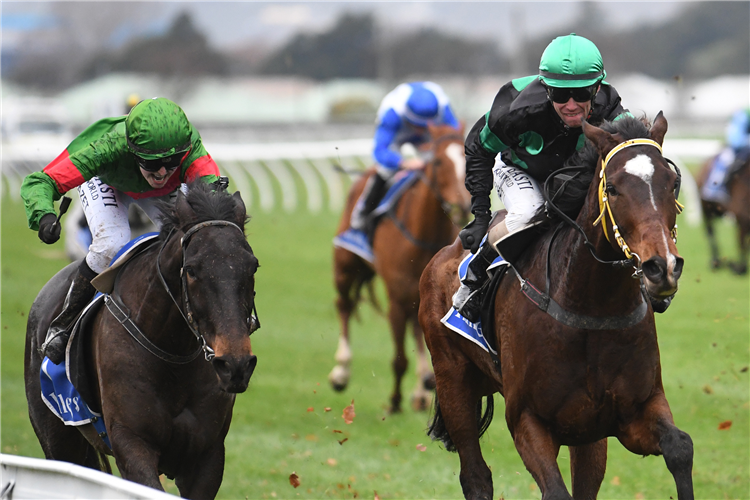 Prince Leo (right) holds out Hurry Cane at Trentham
