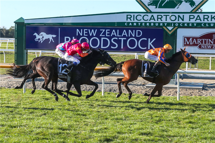 PRISE DE FER winning the Coca-Cola Canterbury Gold Cup