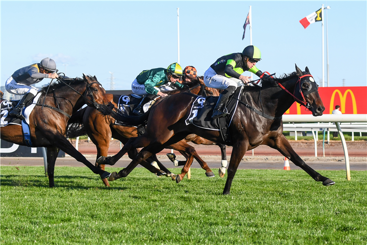 PRIVATE EYE winning the Gilgai Stakes at Flemington in Australia.