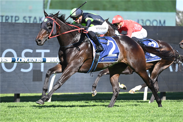 PRIVATE EYE winning the NATURE STRIP STAKES at Rosehill in Australia.