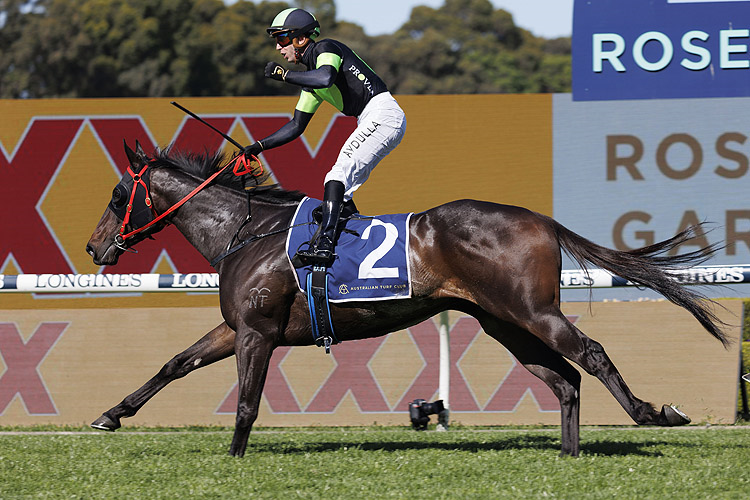 PRIVATE EYE winning the NATURE STRIP STAKES