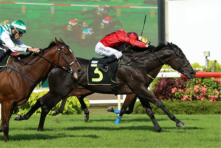 PROSPEROUS RETURN winning the KRANJI STAKES B