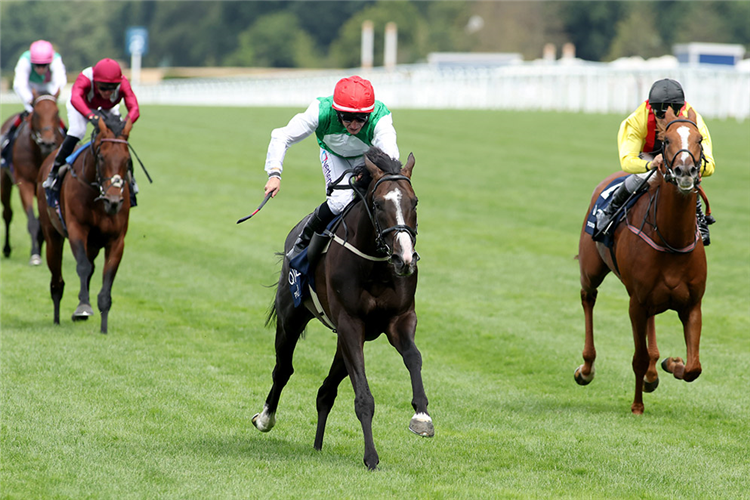 PYLEDRIVER winning the King George VI And Queen Elizabeth Qipco Stakes.