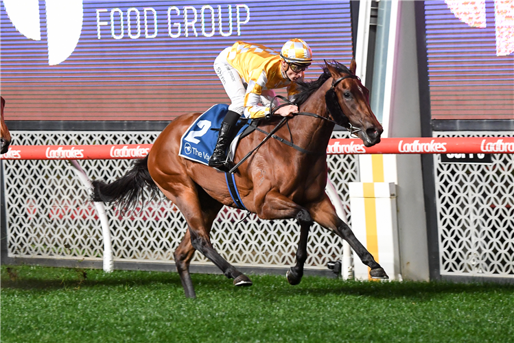QUEEN OF THE BALL winning the University Food Group Scarborough Stakes at Moonee Valley in Moonee Ponds, Australia.