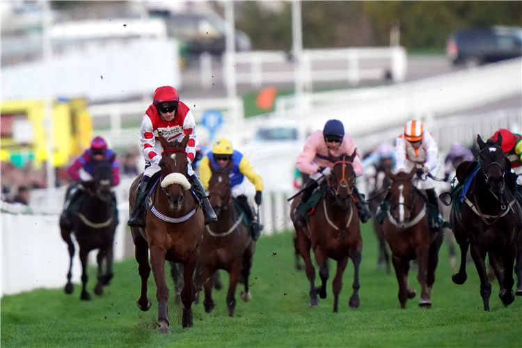 QUEENS GAMBLE winning the Evesham Mares' Open National Hunt Flat Race