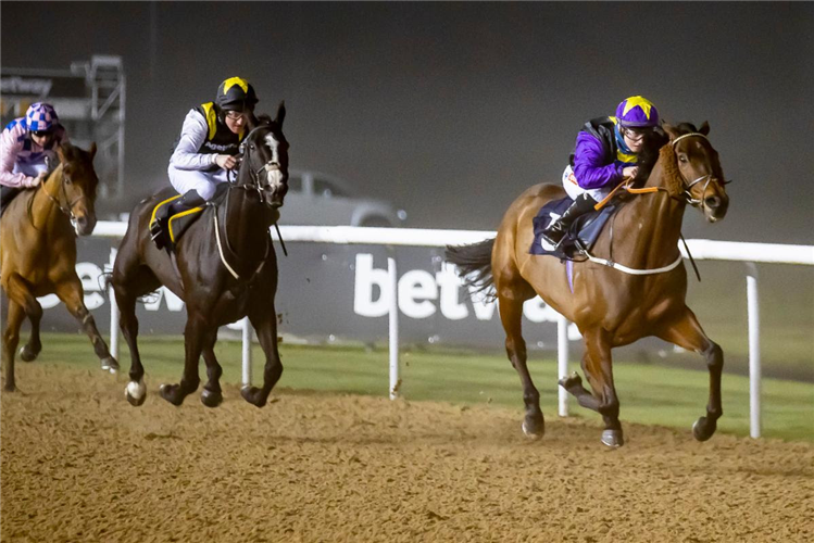 RAINBOW DREAMER winning the Betway Conditions Stakes (All-Weather Championships Fast-Track Qualifier)
