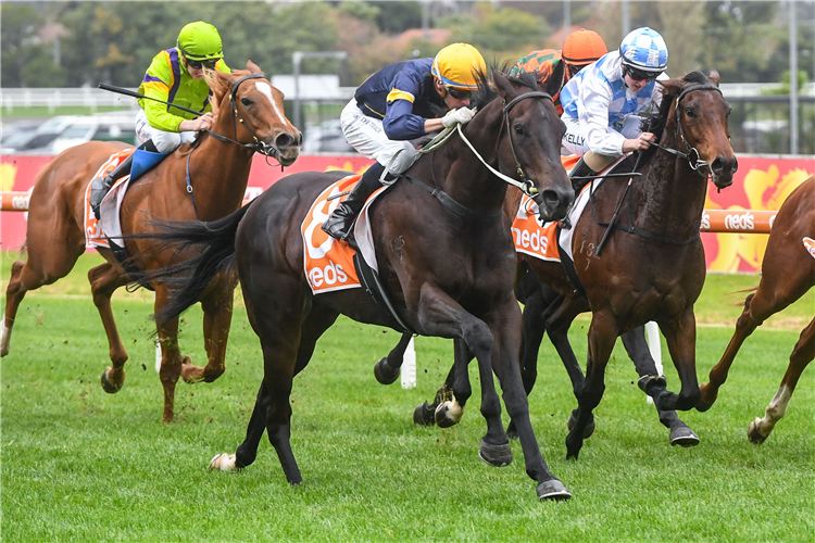 RANTING winning the Ian Miller Hcp at Caulfield in Australia.