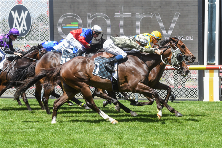 REAL SENSATION dead heats with KWOI HOI winning the Entry Education Handicap at Moonee Valley in Australia.