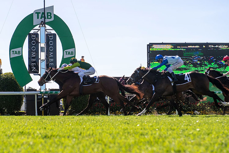 RED TOP winning the Drinkwise Hcp