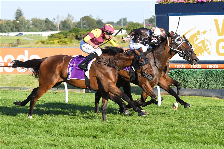 REGARDSMAREE (pink cap) winning the VOBIS Gold Sprint at Caulfield in Australia.