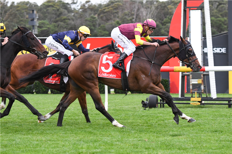 REGARDSMAREE winning the Ladbrokes Anniversary Vase at Sandown in Australia.