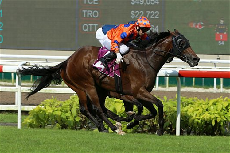 RELENTLESS winning the STEWARDS' CUP GROUP 2