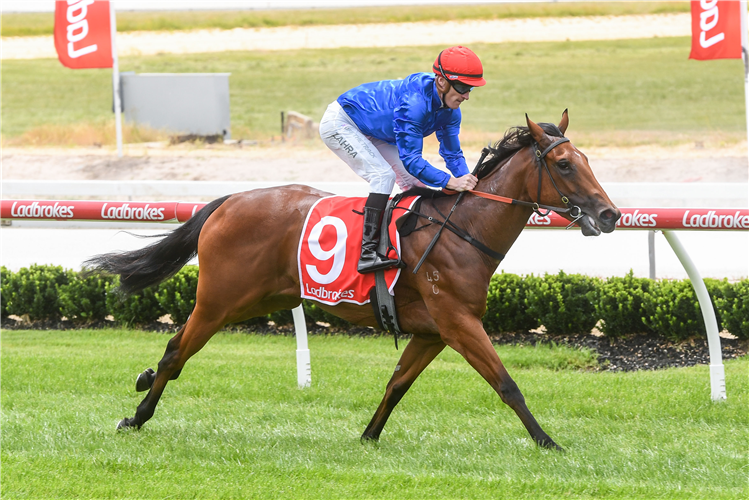 REMEDIES winning the Rhino the Wrecker 2YO Plat at Cranbourne in Australia