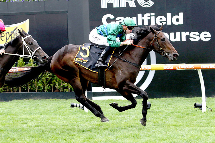 RENAISSANCE WOMAN winning the Schweppes Ethereal Stakes