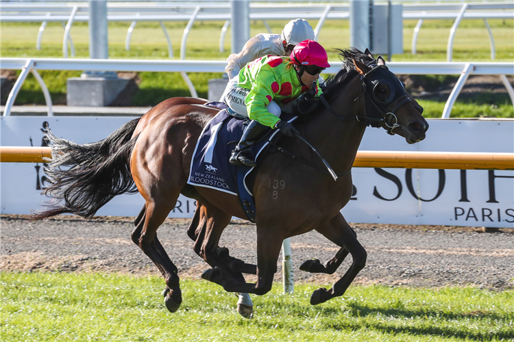 REPUTABELLE winning the Nzb Insurance Stakes