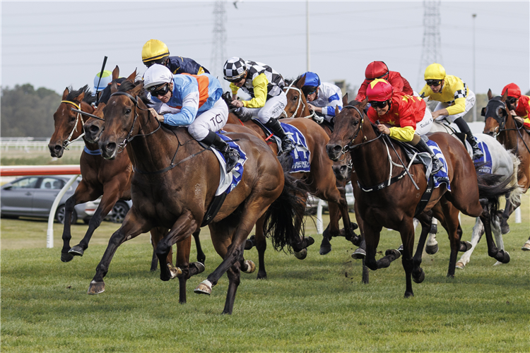 RIODINI winning the THE GONG at Kembla Grange in Australia.