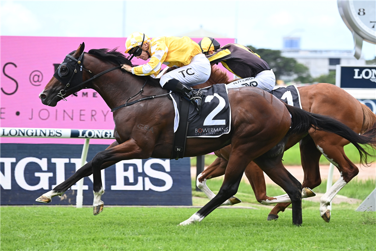 RISE OF THE MASSES winning the Bowermans Pago Pago Stakes at Rosehill in Australia.