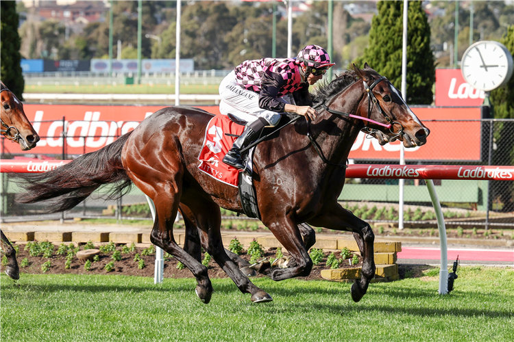 ROTHFIRE winning the Mitty's McEwen Stakes at Moonee Valley in Australia.