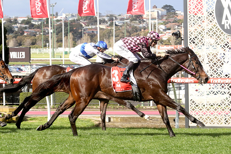 ROTHFIRE winning the Mitty's McEwen Stakes