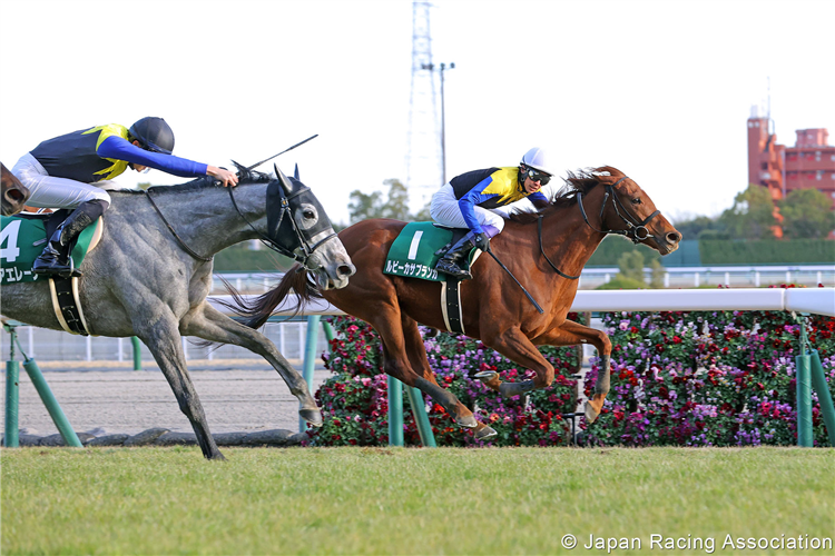 RUBY CASABLANCA winning the Aichi Hai at Chukyo in Japan.