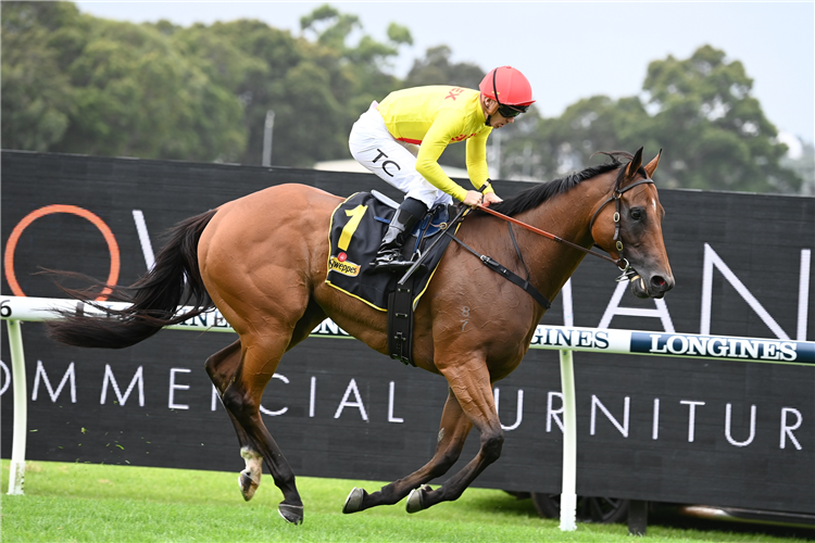 RULE OF LAW winning the Schweppes Handicap at Rosehill in Australia.