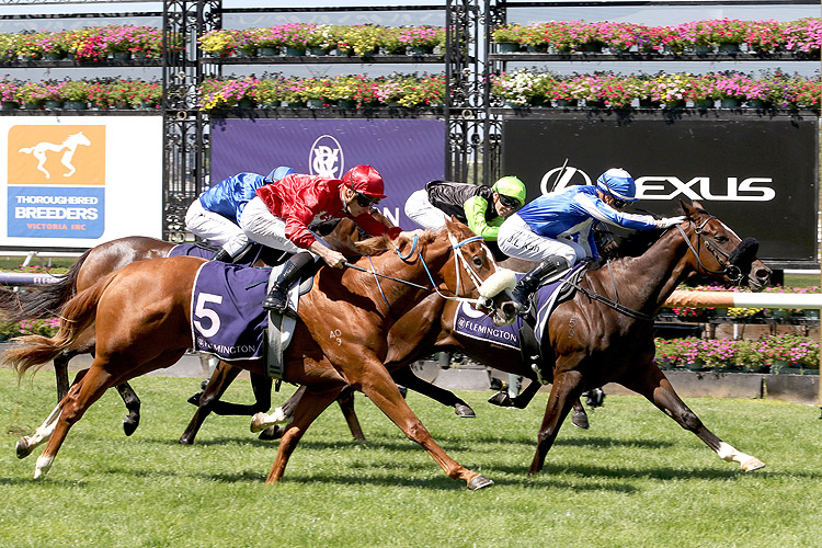 RUTHLESS DAME winning the Tbv T'bred Breeders Stakes