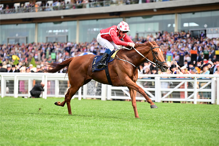 SAFFRON BEACH winning the Duke Of Cambridge Stakes at Royal Ascot in England.