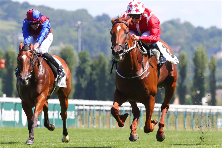 SAFFRON BEACH winning the PRIX ROTHSCHILD