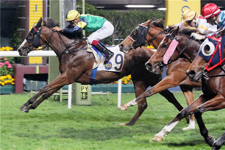 SCOTCH TYCOON winning the Chester Hcp (C3)